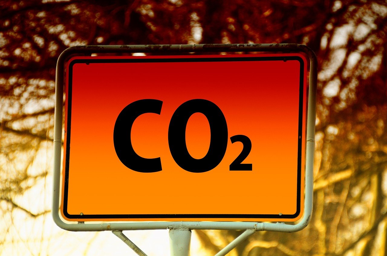 ¿Cómo se realiza el cambio de nombre de un coche?
